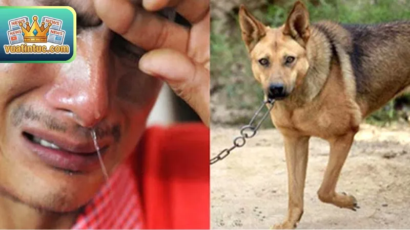 Chuyện Lạ Việt Nam | Bí Ẩn Kỳ Thú Và Hiện Tượng Chưa Lời Giải