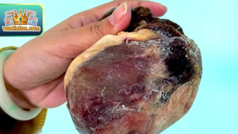 Sức hấp dẫn từ những chuyên mục chuyện lạ Việt Nam đặc sắc
