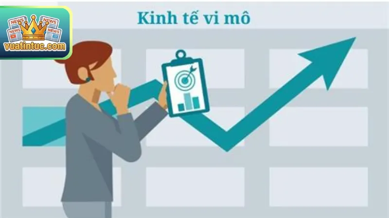 Các nhóm công thức kinh tế vĩ mô phổ biến nhất hiện nay