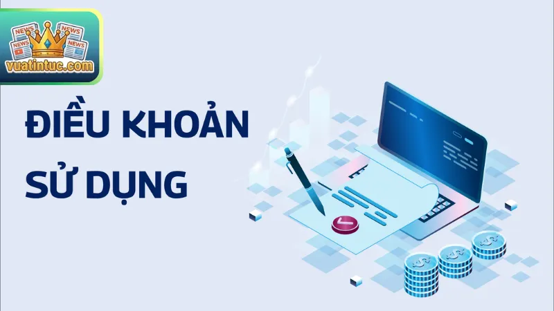 Quy trình thực thi điều khoản sử dụng và tính pháp lý