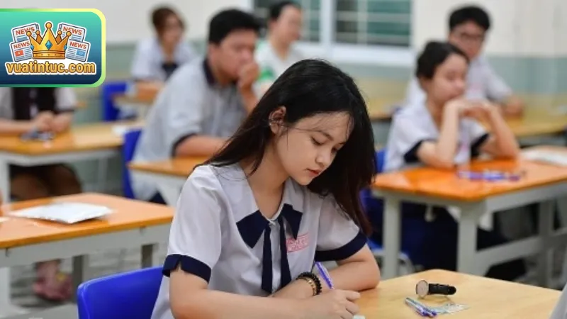 Các lĩnh vực trọng tâm trong chuyên mục tin tức giáo dục hiện nay